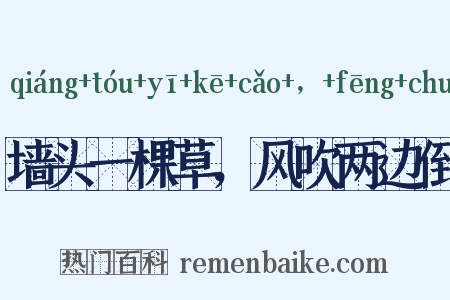 墙头一棵草，风吹两边倒是什么意思的图片